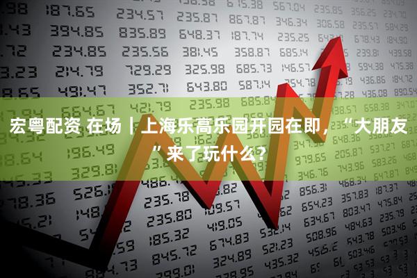 宏粤配资 在场｜上海乐高乐园开园在即，“大朋友”来了玩什么？
