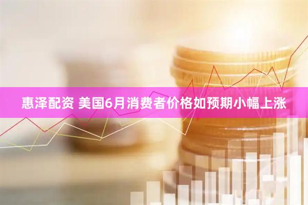 惠泽配资 美国6月消费者价格如预期小幅上涨