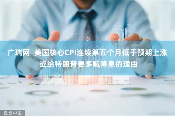 广瑞网  美国核心CPI连续第五个月低于预期上涨 或给特朗普更多喊降息的理由