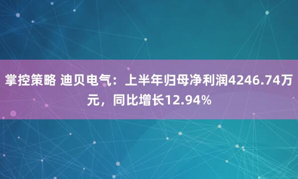 掌控策略 迪贝电气：上半年归母净利润4246.74万元，同比增长12.94%